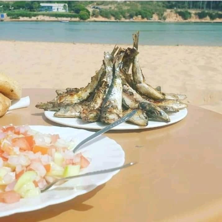 沃利迪耶Araucaria别墅 外观 照片